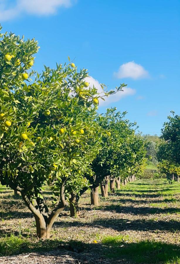 Quinta Da Boa Sorte Estoi Exterior foto